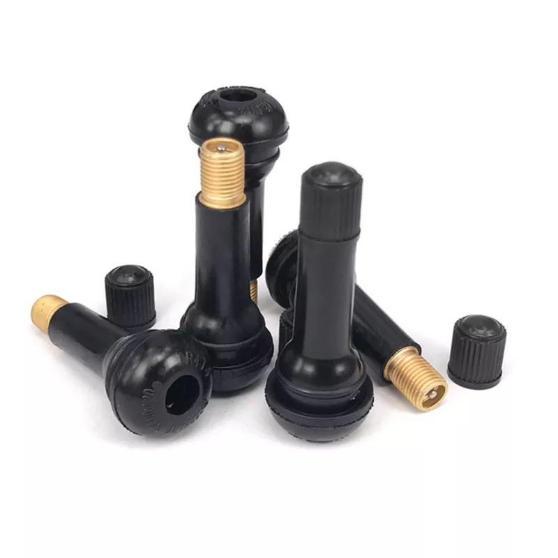 Tr414 Car Tire Valve (1)