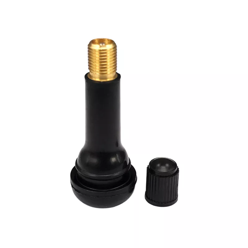 Tr414 Car Tire Valve (2)