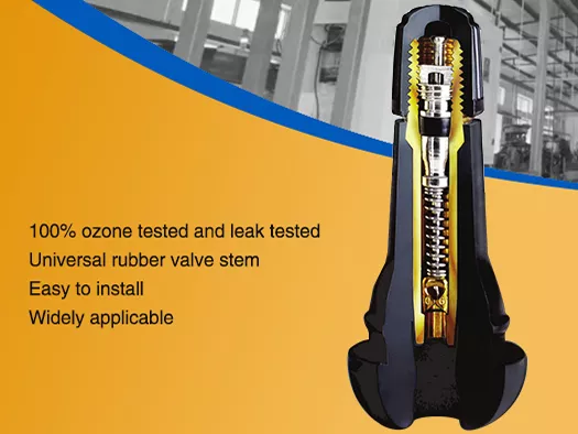Tire Valve Airtightness Compression Test